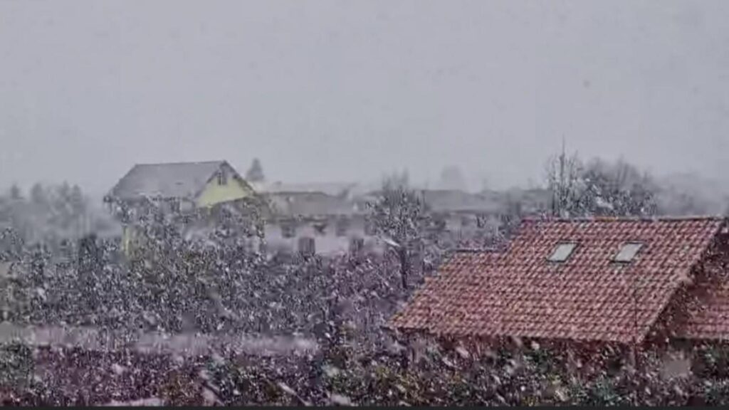 Furtuna Pia a lovit România cu forța unui uragan. Ninsori cu tunete și fulgere - prăpăd în țară. VIDEO