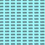 Găsește numărul 869 în marea de numere 899! Ai un IQ peste medie dacă poți să faci asta