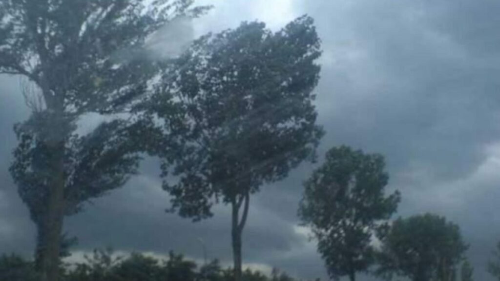 Alertă METEO - ANM anunță fenomene periculoase în zeci de regiuni din județele Suceava și Mureș: Ceață și rafale de vânt până la 100 km/h