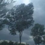 Alertă METEO - ANM anunță fenomene periculoase în zeci de regiuni din județele Suceava și Mureș: Ceață și rafale de vânt până la 100 km/h