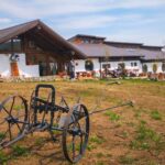 Pensiunea Ferma Dacilor nu avea nici autorizație de construcție! Controale masive după incendiul în care au ars 6 oameni