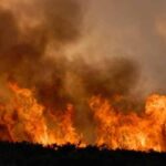 Incendiu de vegetație lângă Ferma Dacilor: 8 hectare, misuite de foc