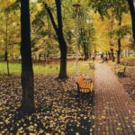 Accesul auto în parcuri: Propunerea proprietarului restaurantului din Parcul Tei pentru gestionarea gunoiului și aprovizionare. Ce i-au răspuns consilierii