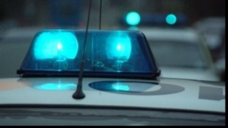 Trafic blocat în Pasul Gutâi, din cauza unui copac căzut pe şosea - Ce alte probleme ar mai putea apăra în trafic, din cauza vremii