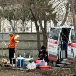 Scene ȘOCANTE în Constanța. Purcei aduși cu ambulanța și sacrificați într-un parc
