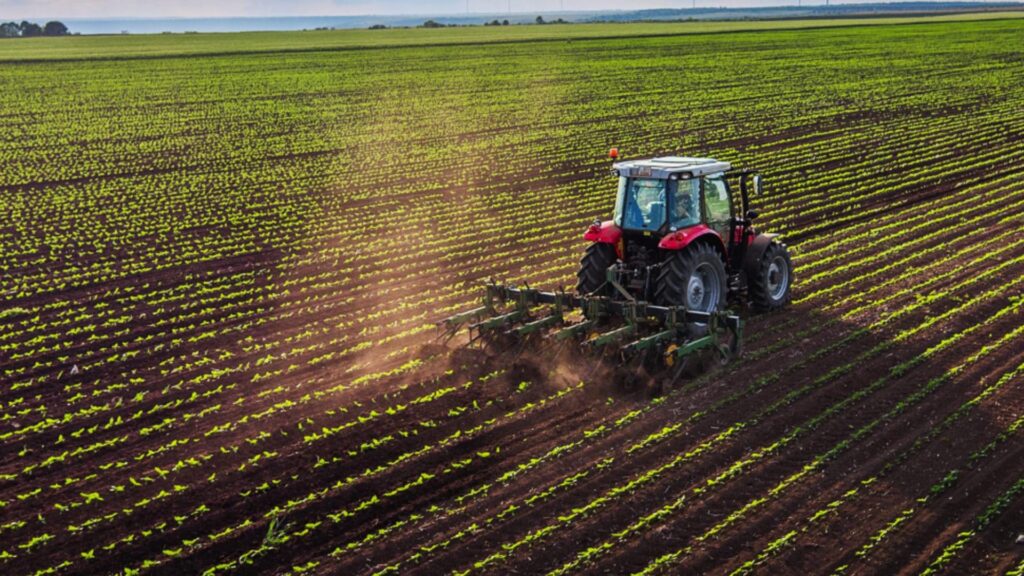 O familie din India a ajuns să exploateze 27.000 de hectare de teren agricol în România