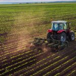 O familie din India a ajuns să exploateze 27.000 de hectare de teren agricol în România