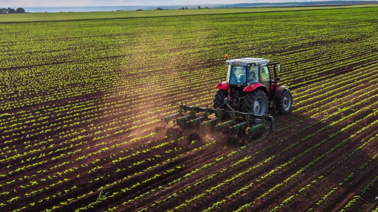 O familie din India a ajuns să exploateze 27.000 de hectare de teren agricol în România