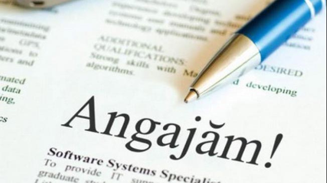 În plină austeritate, se anunță un val de angajări la stat. Unde se vor deschide cele mai multe posturi