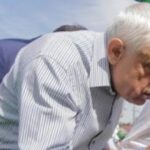 Petre Daea și păduchii. Episod spumos din viața fostului ministru al Agriculturii
