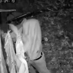 Femeie din Mehedinți, lăsată fără sarmale și piftie. Hoțul, surprins de camerele de supraveghere - VIDEO