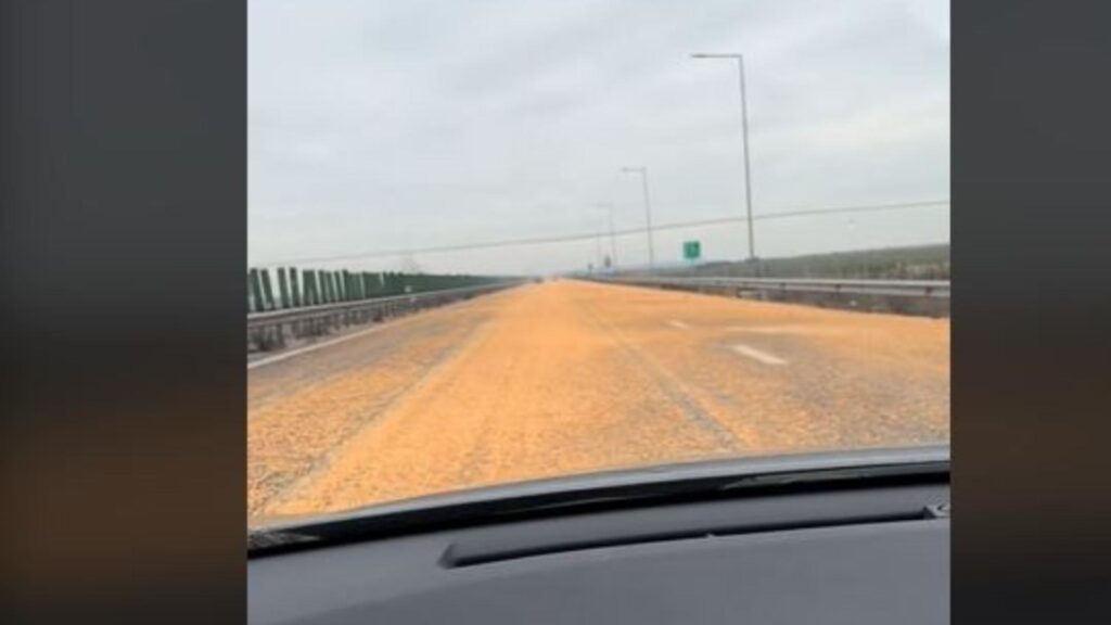 Blocaj pe Autostrada Soarelui după ce a "plouat" cu porumb. Risc mare pentru șoferi - VIDEO