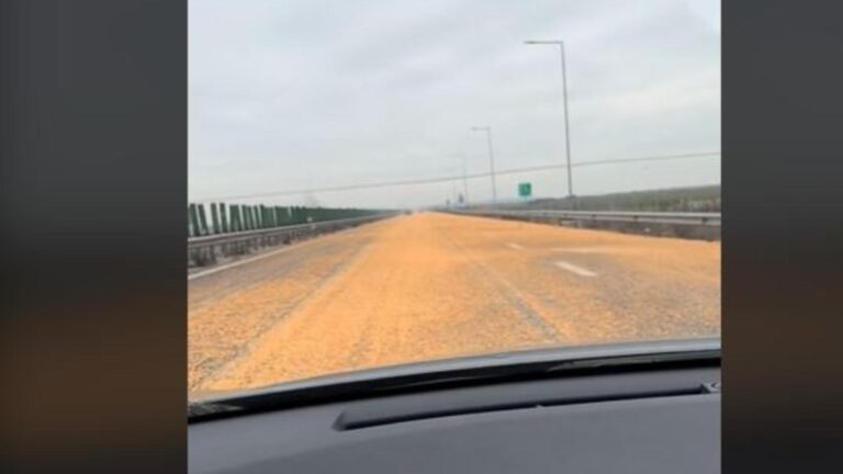 Blocaj pe Autostrada Soarelui după ce a "plouat" cu porumb. Risc mare pentru șoferi - VIDEO