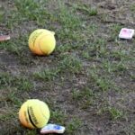 De ce sunt mingile de tenis păroase și cât de important este acest lucru?