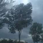 ANM a prelungit până luni codul galben de vânt puternic pentru 6 judeţe! Rafalele vor depăşi temporar 70 km/h