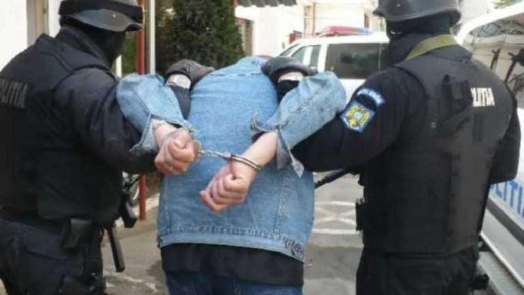 Adolescent suedez, specializat în omoruri și atacuri cu bombă, reținut în România
