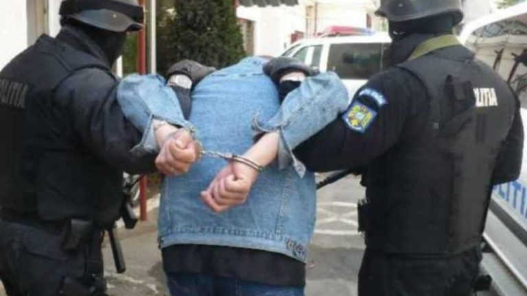 Adolescent suedez, specializat în omoruri și atacuri cu bombă, reținut în România