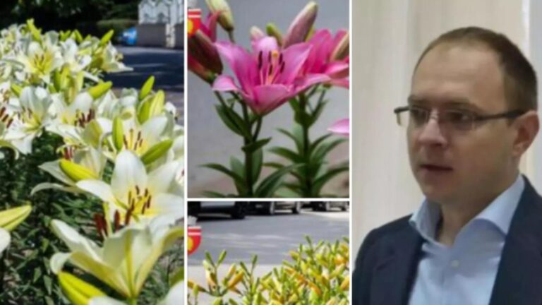 Câți bani a aruncat pe plante primarul amorezat din Botoșani. Edilul îndrăgostit a umplut orașul cu florile preferate ale amantei - FOTO