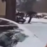Un tată și-a folosit bebelușul ca să șteargă zăpada de pe mașină. Filmarea a stârnit un val de furie - VIDEO