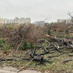 Parcul IOR, devastat: sute de copaci au fost tăiați. Peisaj dezolant lăsat în urmă