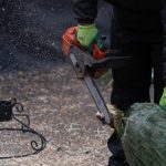 Brazii de Crăciun, colectaţi gratuit în Capitală. Depozitarea pe domeniul public, ilegală - ce amendă riști