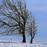 Cod galben de fenomene meteo extreme: zonele lovite de ploi și rafale de până la 120 km/h