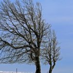 Prognoza meteo 10 ianuarie. Schimbări radicale sub regim termic: zonele lovite de fenomene extreme 