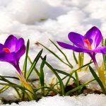 Vremea 24 ianuarie. Frigul pierde teren în fața temperaturilor pozitive. Unde va fi cel mai cald astăzi