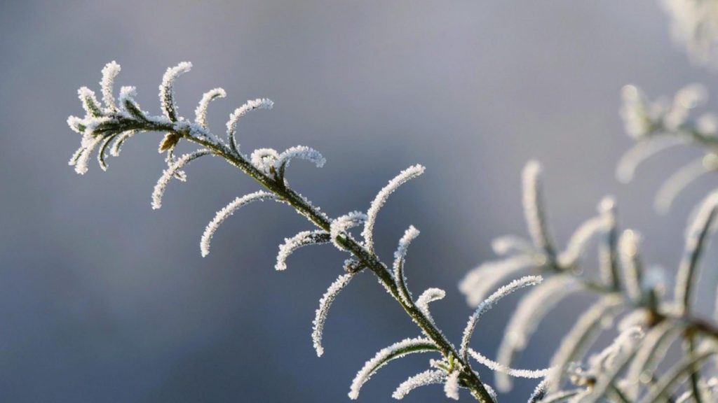Prognoza meteo 20 ianuarie. Vreme deosebit de caldă pentru data din calendar. Prognoza pentru București