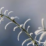 Prognoza meteo 20 ianuarie. Vreme deosebit de caldă pentru data din calendar. Prognoza pentru București