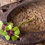 Care sunt zodiile cu succes la bani, în februarie 2025. Acești nativi care dau lovitura pe plan financiar
