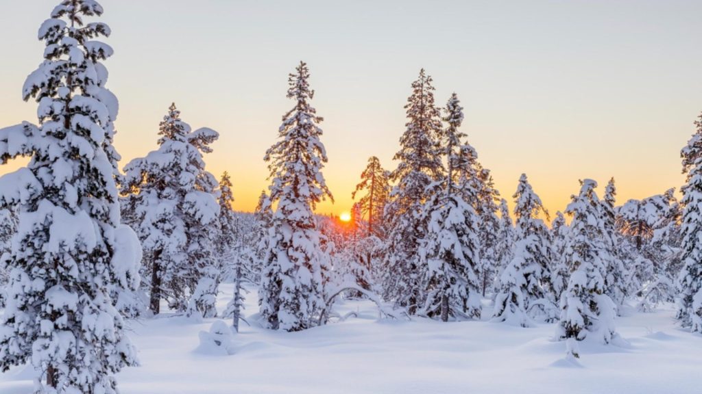 Prognoza meteo 6 ianuarie. Maximele sar la 14 grade. Unde mai ninge