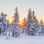 Prognoza meteo 6 ianuarie. Maximele sar la 14 grade. Unde mai ninge