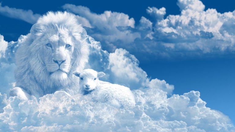 Care sunt zodiile protejate de Dumnezeu toată luna februarie. Au noroc la bani și vor avea parte de noi iubiri