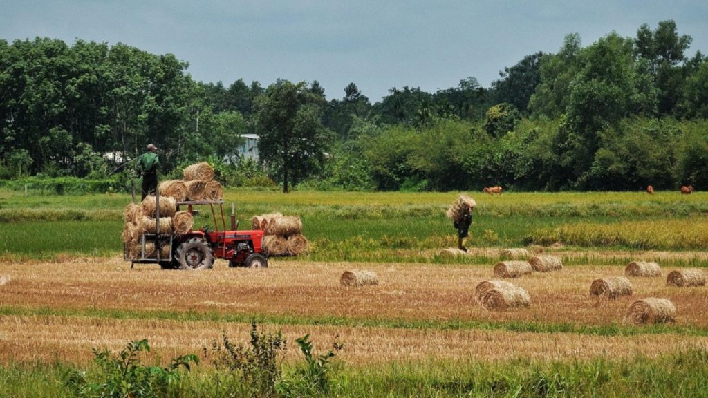 Ajutor de la stat pentru motorina din agricultură. Vești bune pentru fermieri