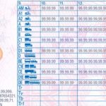 Cât te costă un permis de conducere internațional în 2025. Actele necesare pentru obținerea acestuia