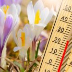 Vremea 29 ianuarie. Zi cu aspect plăcut și TEMPERATURI de primăvară. Maxime de până la 17 grade în Capitală