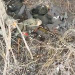 Sinucigașii nord-coreeni de pe frontul din Ucraina: „Se aruncă în aer cu grenade, decât să riște să fie capturați”