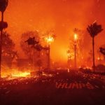 Stare de urgență în Los Angeles, după un incendiu violent într-un cartier de lux: 30.000 de persoane au fost evacuate - VIDEO