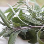Planta care poate opri evoluția celulelor conceroase. Ce arată noile studii