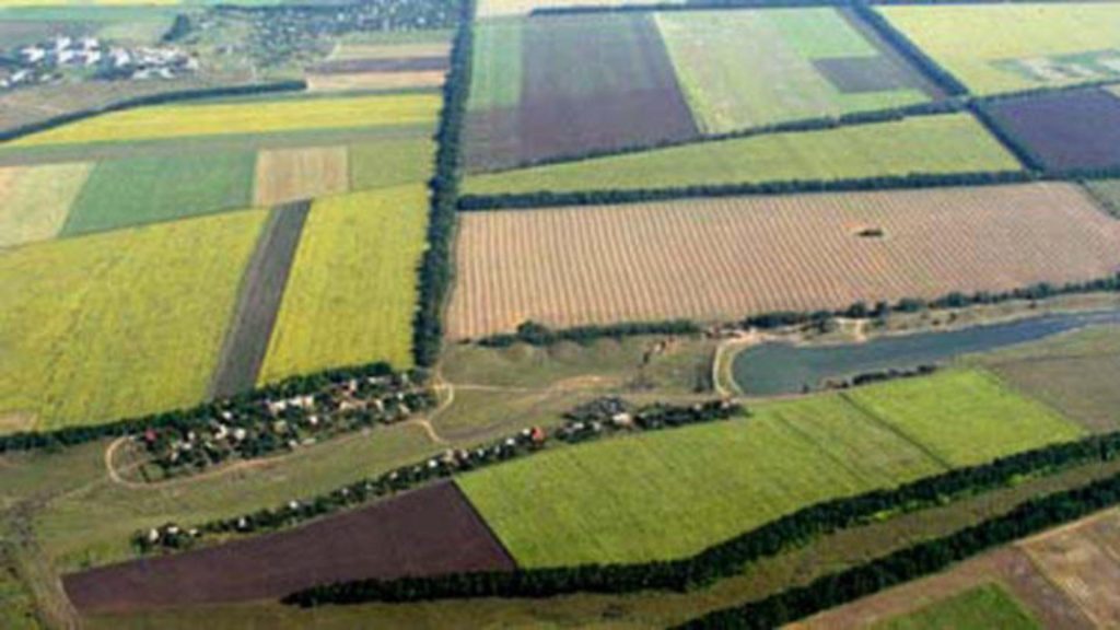 Cât a costat cel mai scump teren agricol scos la vânzare anul trecut? Prețul întrece orice imaginație