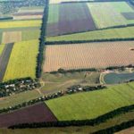 Cât a costat cel mai scump teren agricol scos la vânzare anul trecut? Prețul întrece orice imaginație