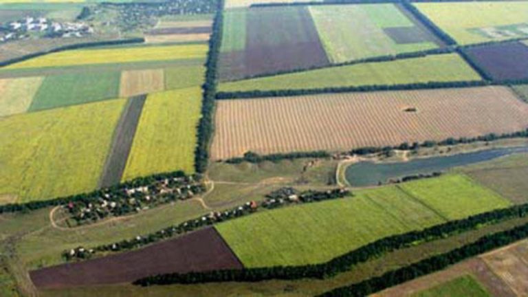 Cât a costat cel mai scump teren agricol scos la vânzare anul trecut? Prețul întrece orice imaginație