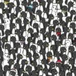 Două pisici s-au ascuns în mulțimea de pinguini. Numai cei cu atenție superumană le pot detecta în doar 10 secunde