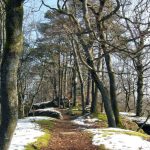 Gerul Bobotezei a fost înlocuit de temperaturi nefirești în România. Directorul general ANM spune cât durează valorile de primăvară, de peste 13 grade Celsius
