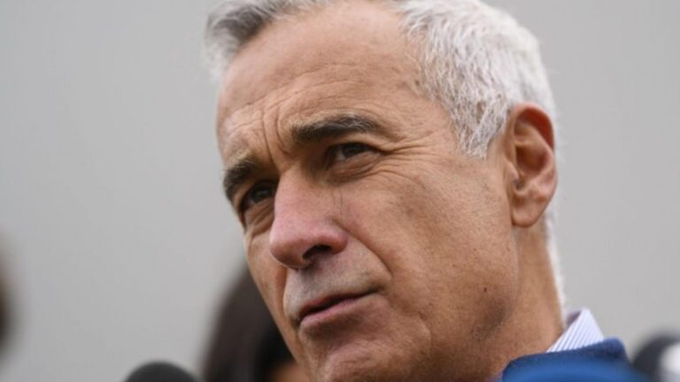 Ce arată sondajele partidelor, înainte să înceapă campania pentru prezidențale: "Călin Georgescu este destul de sus"
