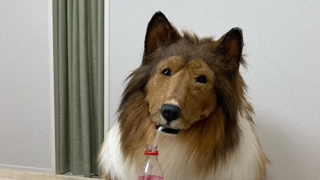 Bărbatul care a cheltuit o mică avere ca să devină "câine" și-a deschis o grădină zoologică pentru alți oameni care vor să fie animale