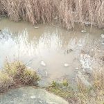 Poluare cu amoniac, într-un râu din Botoșani. Stațiile de epurare, sursa contaminării - amendă uriașă 