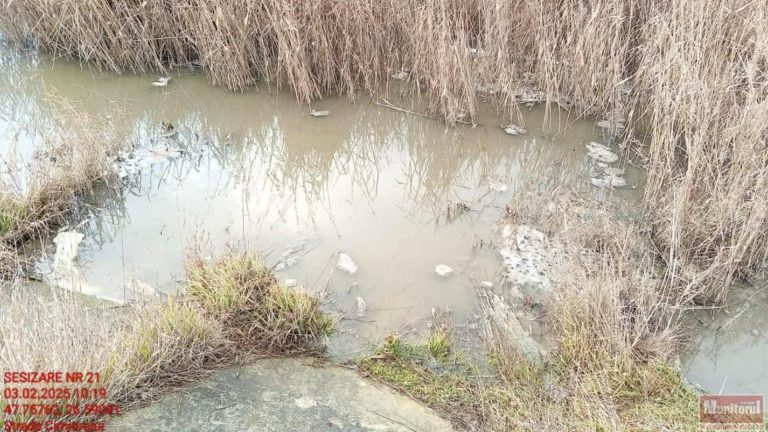 Poluare cu amoniac, într-un râu din Botoșani. Stațiile de epurare, sursa contaminării - amendă uriașă 