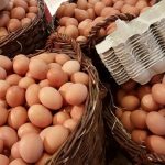 Care sunt, de fapt, cele mai sănătoase ouă - Cele de găină, prepeliță, rață sau gâscă?